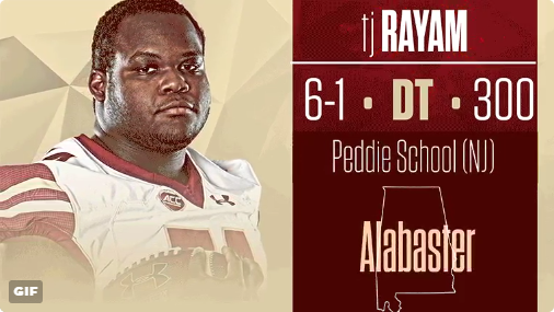 Decided to Fly: TJ Rayam